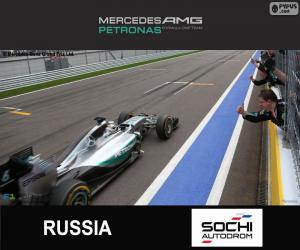 yapboz Hamilton, 2015 Rusya Grand Prix